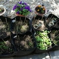thumbnail image 4 of Felt Planting Bag Non-Woven Beautiful Planting Multi-Grid Rectangular Flower Pot, 4 of 8