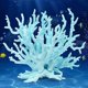 thumbnail image 3 of Adorno de Coral para Acuario, decoración de Arrecife de Coral de Resina, Plantas de Acuario Artificiales, Paisaje, Accesorios para peceras, Decoraciones, Azul, 3 of 5
