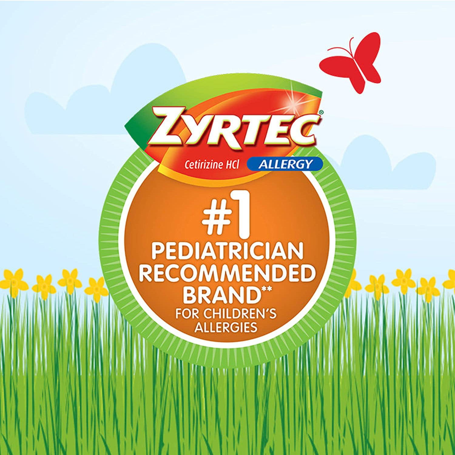 6 Pack Children's Zyrtec 24 hr Dissolving Allergy Tablets, Cetirizine 10 mg, Citrus Flavor,12 Count