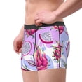 thumbnail image 2 of Honeii Dragon Fruit Print Mens Boxer Briefs Breathable,Boxer Brief for Men, Moisture-Wicking Underwear-Large, 2 of 5