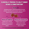 thumbnail image 2 of Llama Naturals Kids Probiotic with Prebiotic Fiber, Vegan, Organic Prebiotics and Probiotics Gummies for Gut Health Support, Toddler Real Fruit Gummy Vitamins, No Added Sugar Cane, Mixed Berry, 60 Ct, 2 of 9