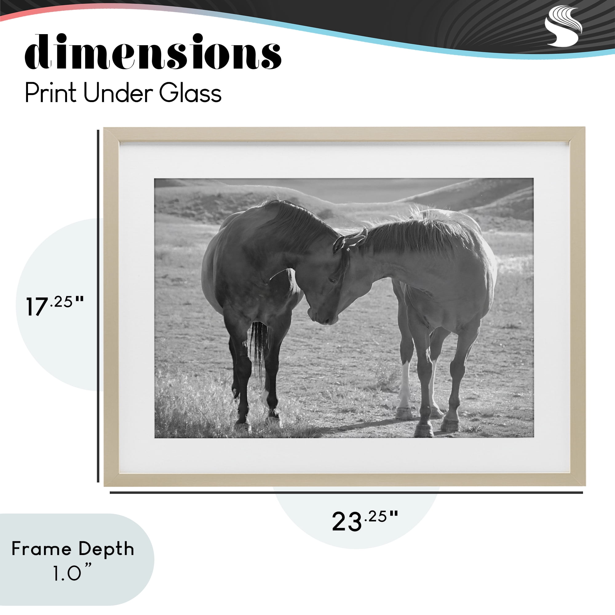 Stupell Industries Sweet Nothings Bond Between Horses Birch Framed Print Under Glass, design by Steve Toole