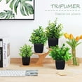 thumbnail image 6 of Tripumer 4pack Small Artificial Green Plants Fake Plants Simulation Eucalyptus Potted Plants with Black Flower Pots for Home Office Bedroom Bathroom Living Room Decoration, 6 of 9