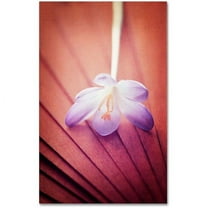 Trademark Fine Art "Access to Desires" Canvas Art by Philippe Sainte-Laudy