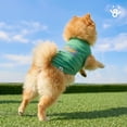 thumbnail image 4 of Oodles Green Best Buddy Pennant Spring Dog Sweatshirt, XS, 4 of 10
