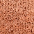 thumbnail image 3 of Felpudo decorativo de fibra de coco natural DII, 45 x 75 cm, 3 of 6