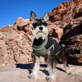 thumbnail image 5 of Gooby Dog Vest - Black, Large - Dog Jacket Coat with Lift Handle and D Ring - Zipper Closure and Stretch Chest Small Dog Sweater, 5 of 5