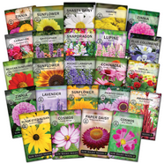 Set of 25 Deluxe Variety Flower Seed Packets 10 Varieties - Walmart.com