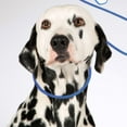 thumbnail image 5 of Laisse d'Entraînement pour Chien avec Anneau de Contrôle (Animal Réfléchissant pour l'Obéissance), 5 of 5