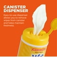 thumbnail image 5 of Wet Ones Anti-Bacterial All Purpose Wipe for Dogs - 50 Ct Canister, 5 of 10