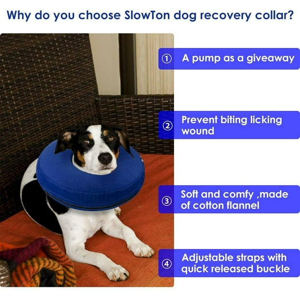 Donut collar for dogs after surgery sales