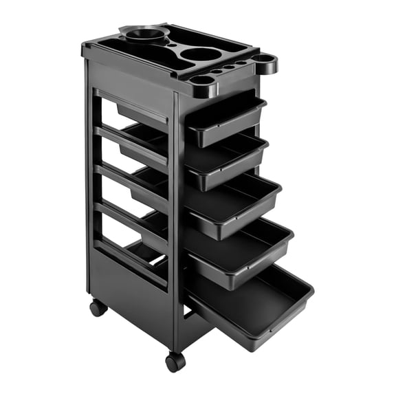 6-Tier Hair Styling Salon Trolley with Wheels, 5 Drawers Professional Salon Trolley Cart, Multipurpose Tool Cart,Salon Rolling Beauty Cart for Hair Stylist,Hairdresser,Beauty,Tattoo