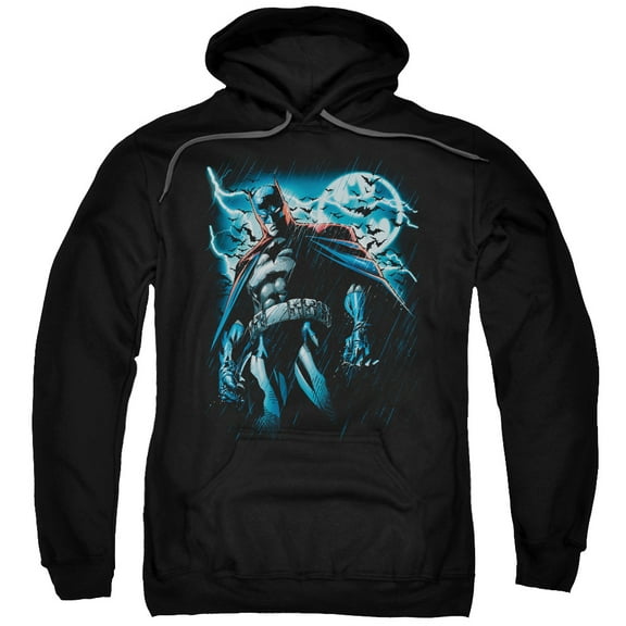 Batman - Stormy Knight - Pull-Over Hoodie - XXXXX-Large