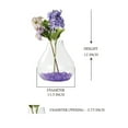 thumbnail image 5 of Serene Spaces Living Large Clear Glass Terrarium Vase, 11.5" Diameter & 12" Tall, 5 of 5