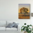 thumbnail image 3 of Trademark Fine Art 'Firelight I' Canvas Art by Tim OToole, 3 of 4