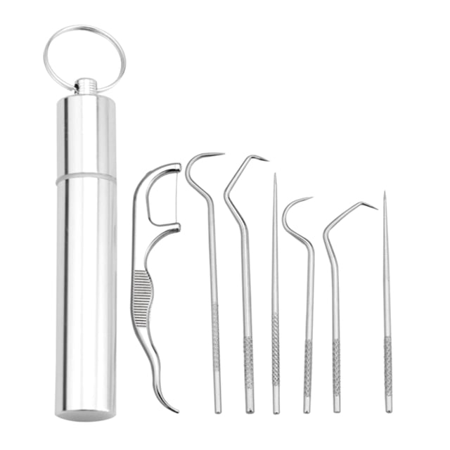 Juego de palillos de dientes de acero inoxidable portátil, Kit de herramientas de limpieza Irfora Palillos
