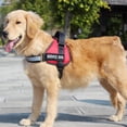 thumbnail image 2 of Collares rojos para perros de servicio Vhermosa medianos y grandes, 2 of 5