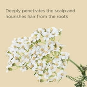 Hairitage Moisturizing, Nourishing Shampoo & Conditioner, Grapeseed Oil & Oat Peptides, 13 fl oz
