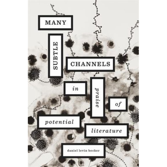 Pre-Owned Many Subtle Channels: In Praise of Potential Literature (Hardcover) 0674065778 9780674065772
