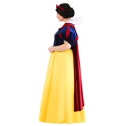 Womens Plus Size Disney Snow White Costume