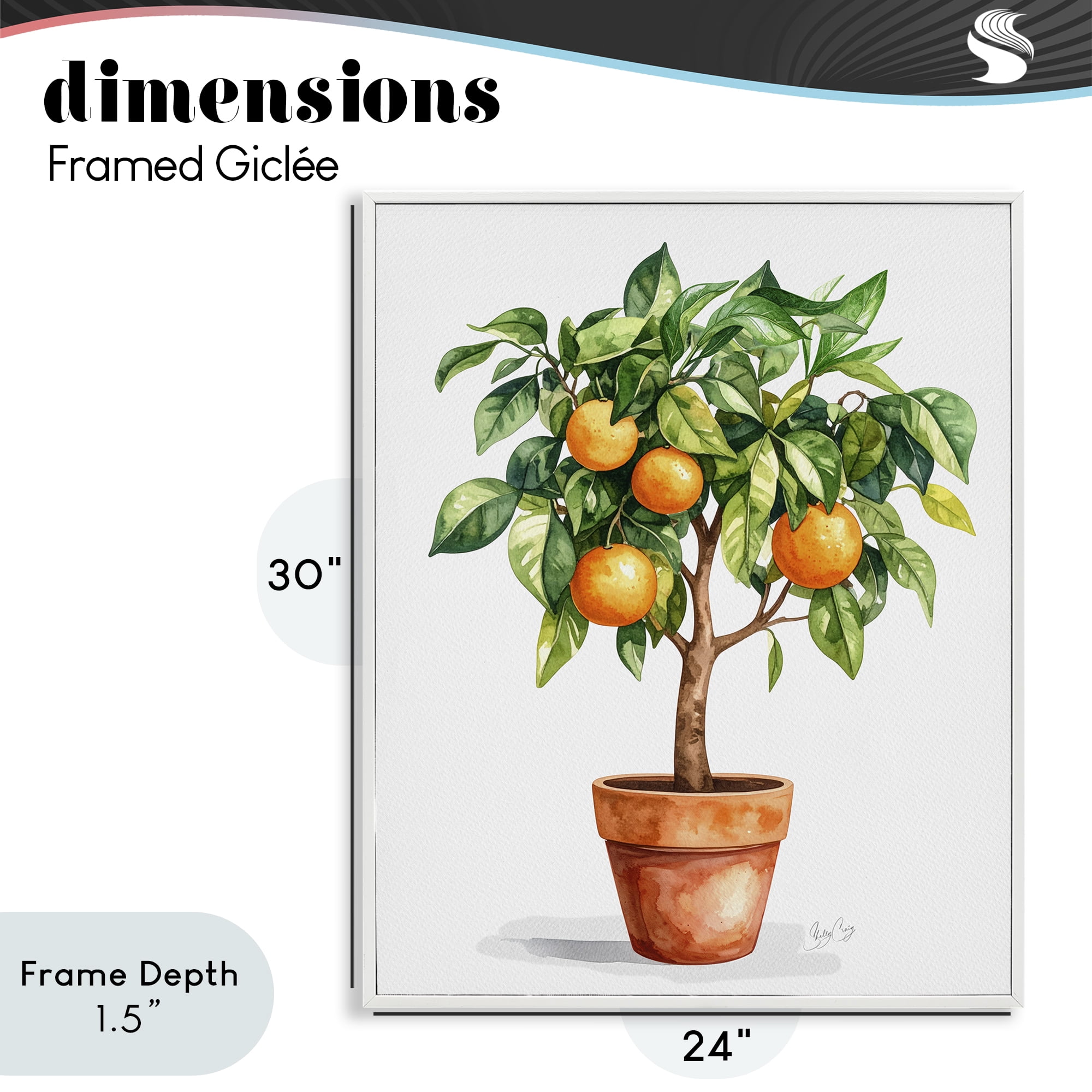 Stupell Industries Potted Orange Tree White Framed Giclee Art, design by Shelly Craig