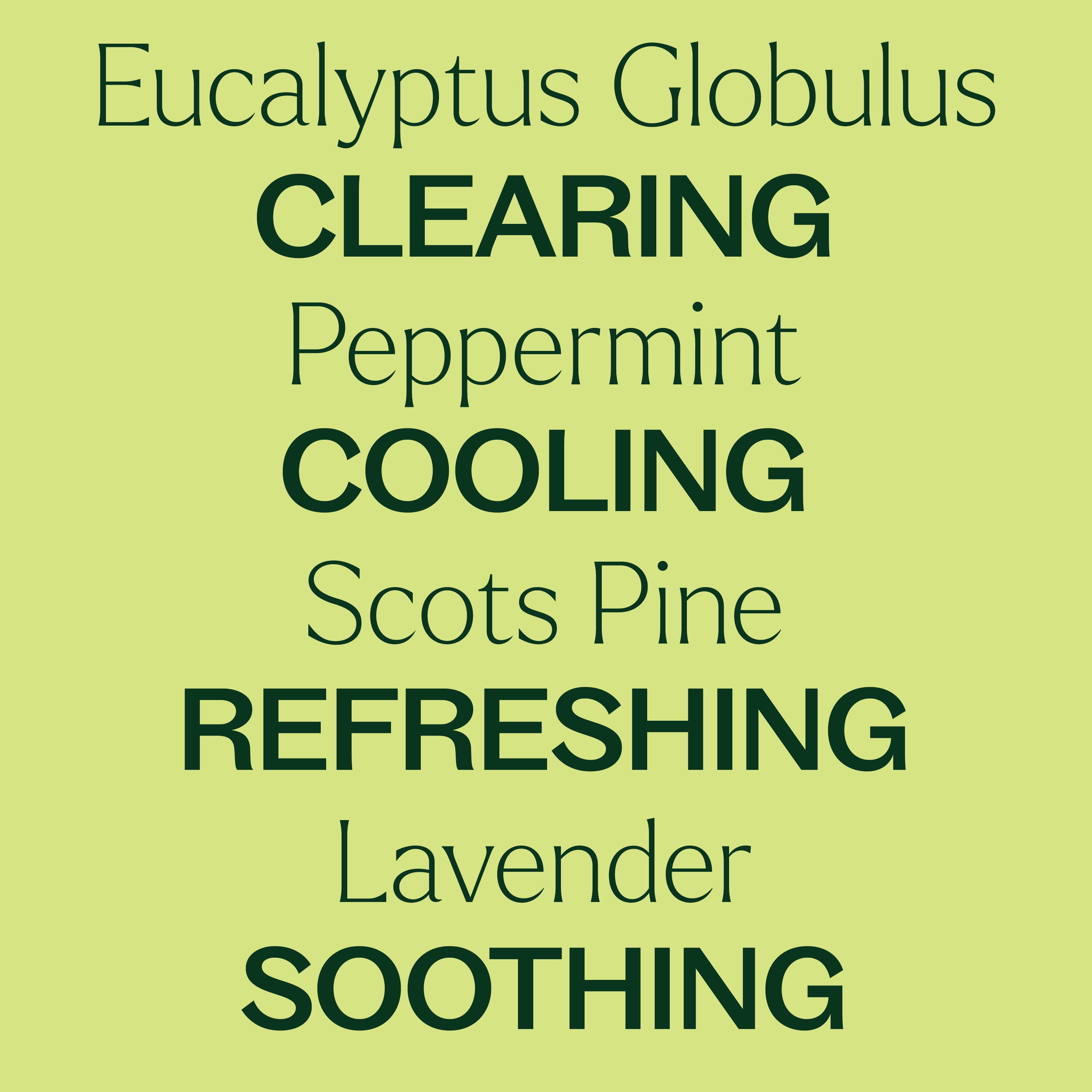 Plant Therapy Respir Aid Essential Oil Blend 100 mL (3.3 oz) Sinus, Airway and Congestion Clearing Synergy Blend 100% Pure, Undiluted, Natural Aromatherapy