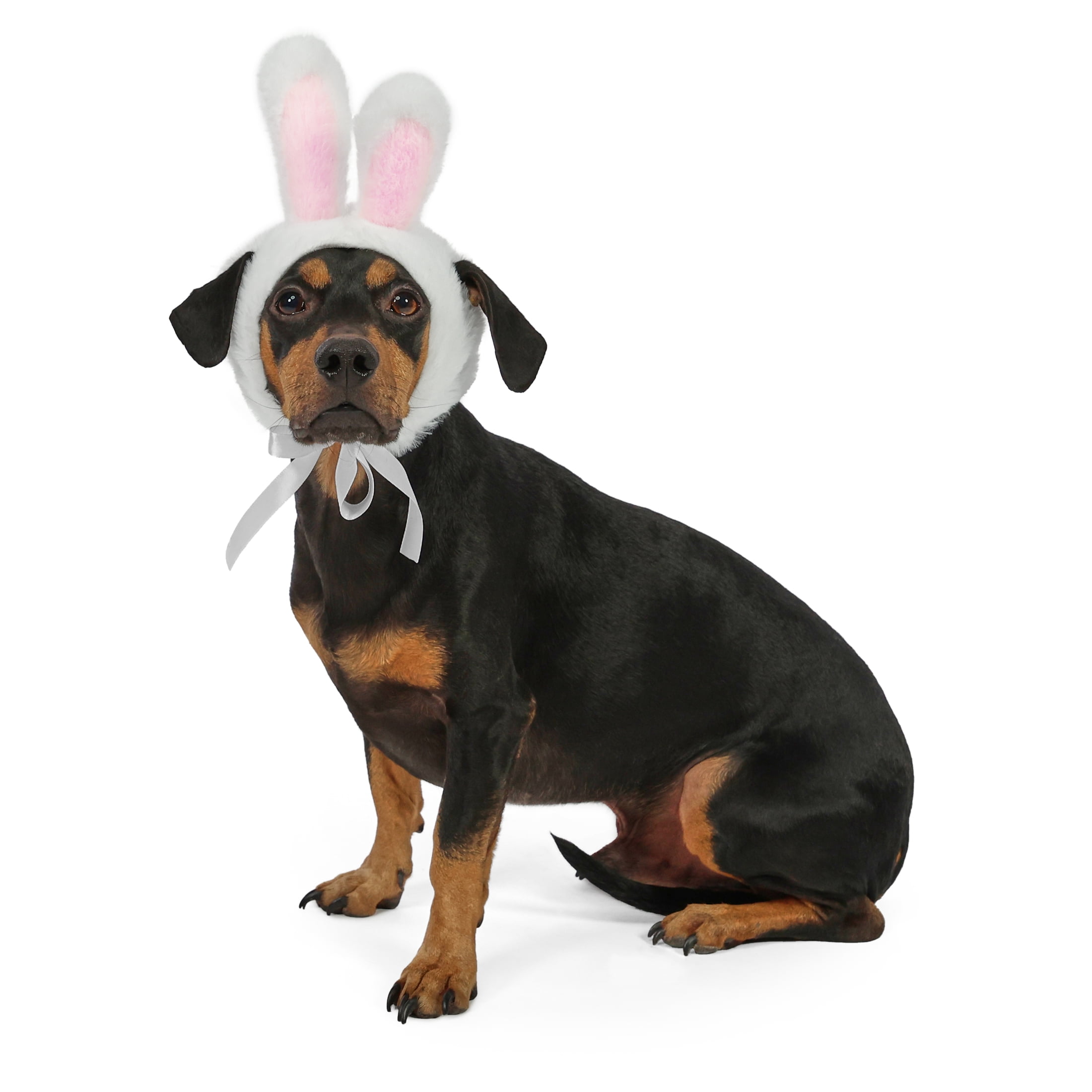 Vibrant Life Easter Bunny Ears for Cats & Dogs, White, S