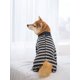 thumbnail image 3 of Full Coverage Belly Long Sleeve Sterilization Suit, Pink & Black Stripes, 3 of 4