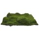 thumbnail image 5 of Alfombra de musgo artificial realista, césped falso para manualidades, decoración de jardín, accesorios para casa de muñecas en miniatura para uso en interiores y exteriores, 30 cm x 30 cm, 5 of 7