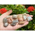 thumbnail image 4 of Moonstone Multi Tumbled Stones, 0.75-1" Tumbled Multicolored Moonstone, 4 of 12