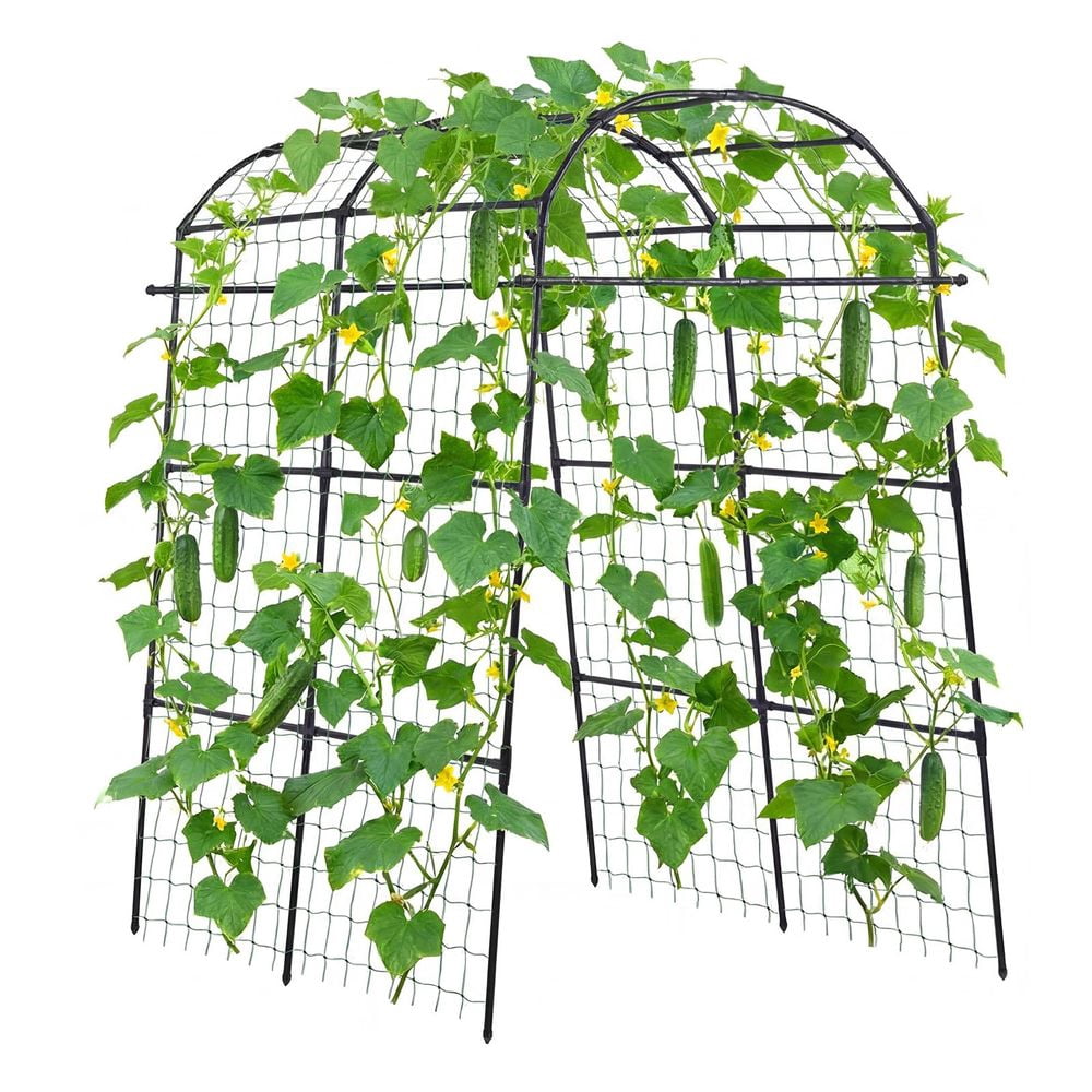 Cucumber Trellis U-Shape Garden Trellises for Raised Bed Metal Arch Plant Support for Climbing Plants Outdoor Peas Beans Zucchini Tomato Squash Flower