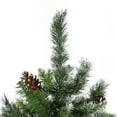 thumbnail image 5 of Northlight Full Snowy Delta Pine with Pine Cones Artificial Christmas Tree - 4' - Unlit, 5 of 6
