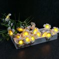 thumbnail image 4 of Volkmi Guirlande Lanterne d'Oeufs Simulés à 20 LED 4_warm white, 4 of 9