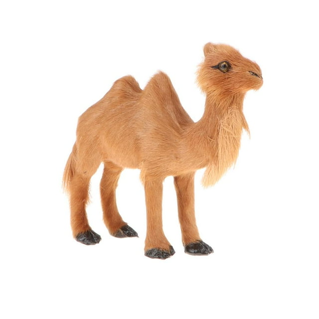 de Animales Salvajes Realistas Modelo de Camello color Juguete de Imaginación Exhibición de Vítrina