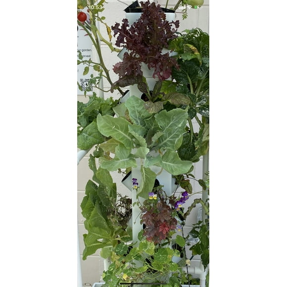 Exo Hydroponics 8 Tier Vertical Garden Planter Tower, Vertical gardening Indoor/outdoor, 32 Stacking Garden Pots, Includes Irrigation Tubing & Water Pump