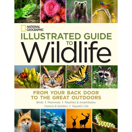 National Geographic Illustrated Guide To Wildlife From