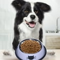 thumbnail image 3 of Bol pour Chat Bol pour Chien Bol en Acier Inoxydable Bol Coloré en Acier Inoxydable Bol pour Chien Bol pour Chat Bol Amusant Bol pour Animal de Compagnie, 3 of 5