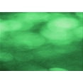 thumbnail image 1 of Ahgly Company Machine Washable Indoor Rectangle Transitional Neon Green Area Rugs, 2' x 5', 1 of 7