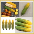 thumbnail image 2 of 4pcs modelo de maíz artificial simulación realista de maíz falso decoración de vegetales falsos, 2 of 5