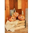 thumbnail image 3 of Gallerie II Pumpkin Patch Figure, set of 3 (68479A), 3 of 4