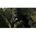 thumbnail image 7 of King Kong (Ultimate Edition) (4K Ultra HD + Blu-ray + Digital Copy), 7 of 7