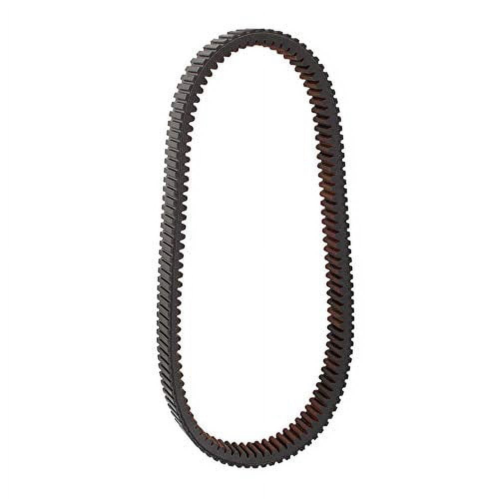 Accessory Drive Belt