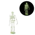 thumbnail image 2 of Noctilucent Dinosaur Human Skeleton Model Assembly Skull Toy Bones Decor, 2 of 9