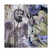 Trademark Fine Art 'Timeless Buddha III' Canvas Art by Surma & Guillen