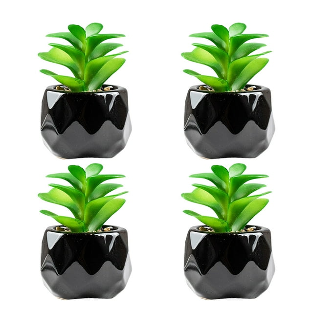 Plantas suculentas artificiales Naiovety 4 Uds Rosa del desierto