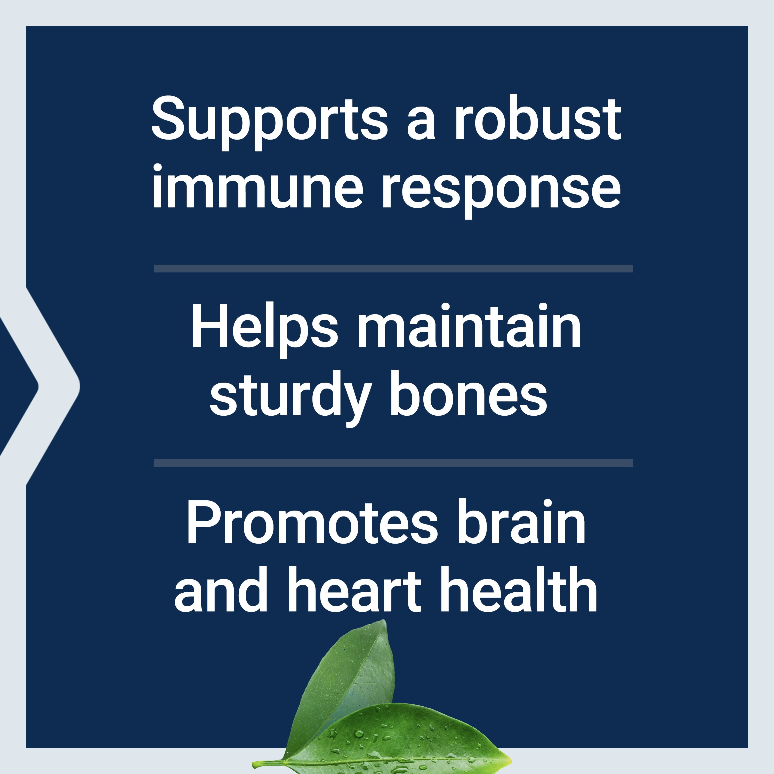 Life Extension Liquid Vitamin D3, 50 mcg (2000 IU) - Bone health, immune health, heart health - Gluten-Free, Non-GMO, Mint, Net . 1 fl. Oz. (29.57 mL)