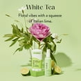 thumbnail image 4 of Curie Natural Deodorant Stick, White Tea, Aluminum-Free, for Men and Women, 2 oz, 4 of 7