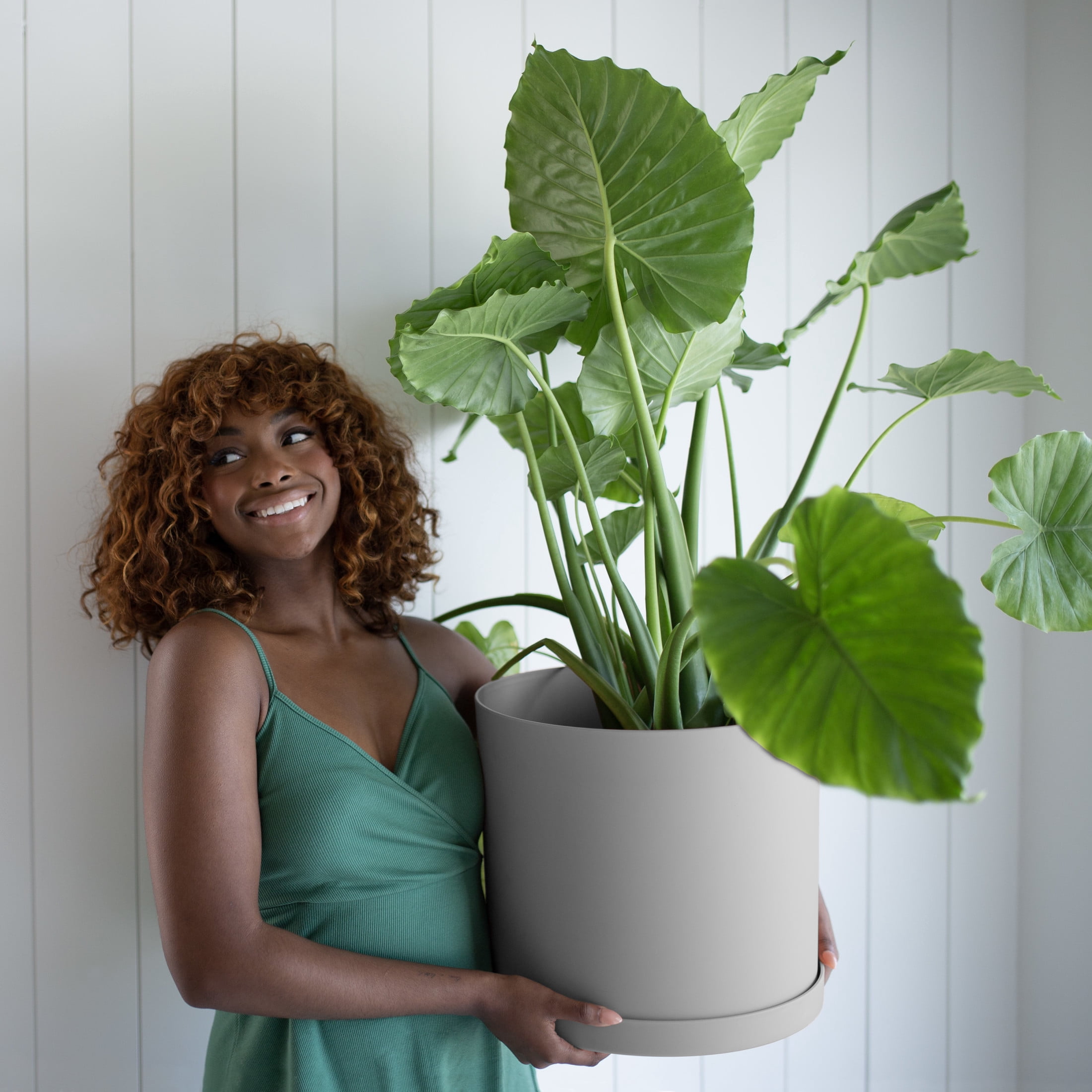 Bloem Mathers 12" Cement Round Modern Resin Garden Planter Pot with Drainage Holes and Removable Saucer Tray Included