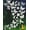 Bird,butterfly, Feather, Leaf, variant on 36 Pieces Window Decals for Bird Strikes, Window Clings Prevent Birds from Hitting Windows Suncatcher Stickers（Bird, Butterfly, Feather, Leaf