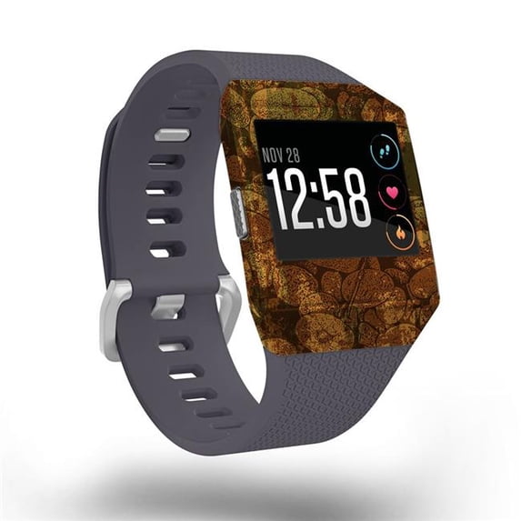 MightySkins FITION-River Stones Skin for Fitbit Ionic - River Stones